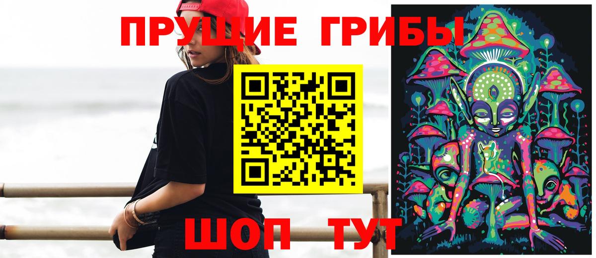 Галлюциногенные грибы Cubensis Корсаков